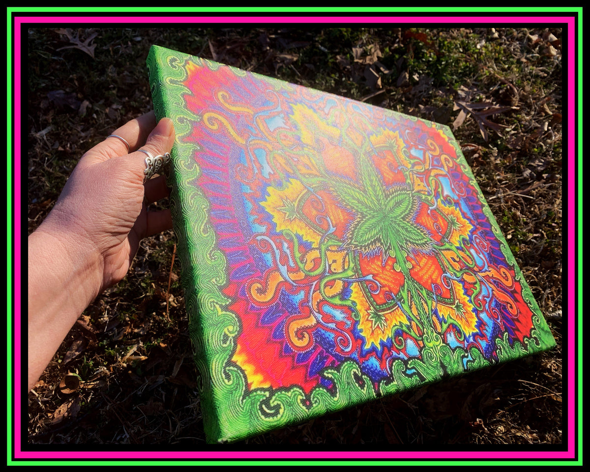 "Herbal Cure" Canvas Print