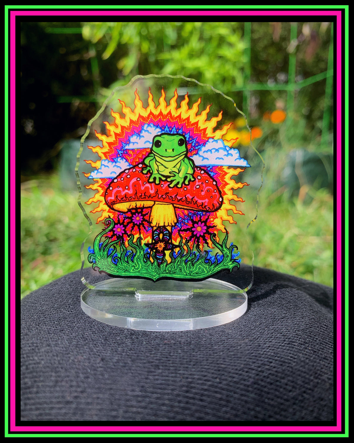 Frog on Mushroom Desk Disc
