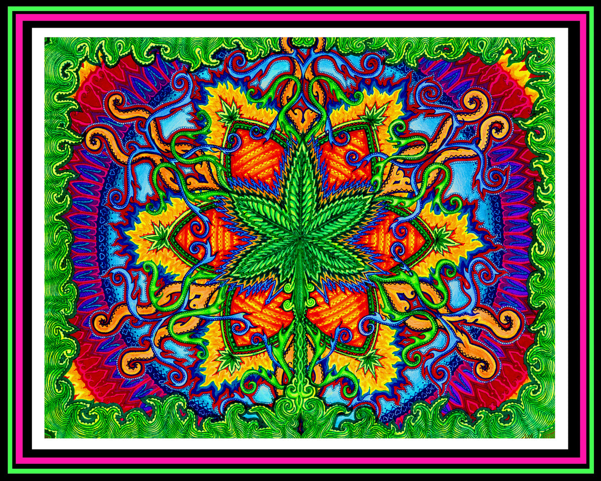 "Herbal Cure" Print