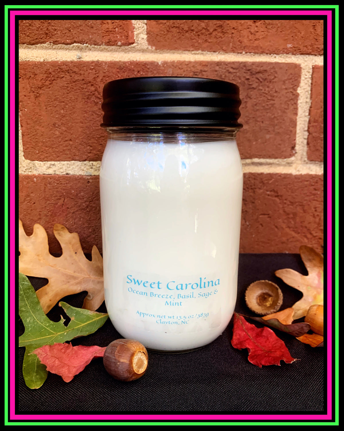 "Mr Seahorse"-Sweet Carolina Scent-Artisan Candle